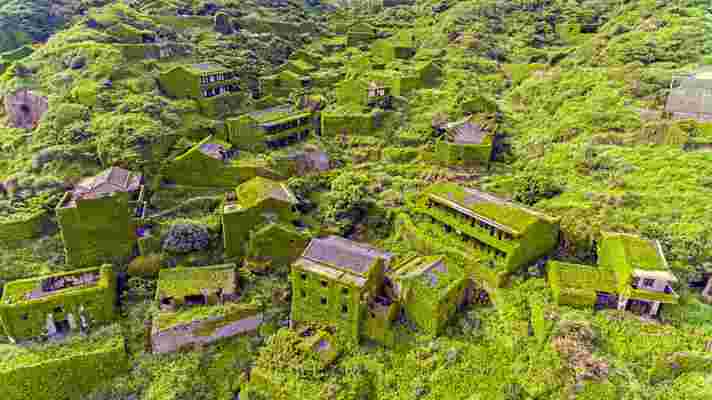 See how this deserted Chinese fishing village is being reclaimed by Mother Nature