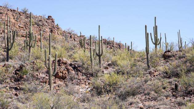 National Parks Offering Free Entry on 'Great American Outdoors Day'