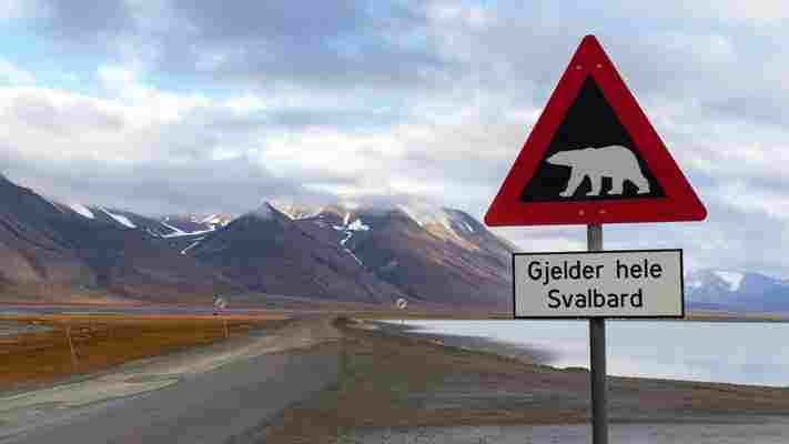 Welcome to Svalbard: a place anyone can call home